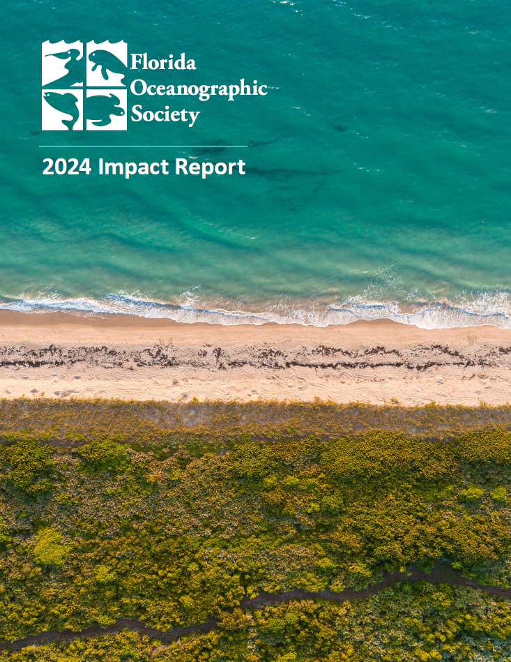 2023 Impact Report Cover for Web