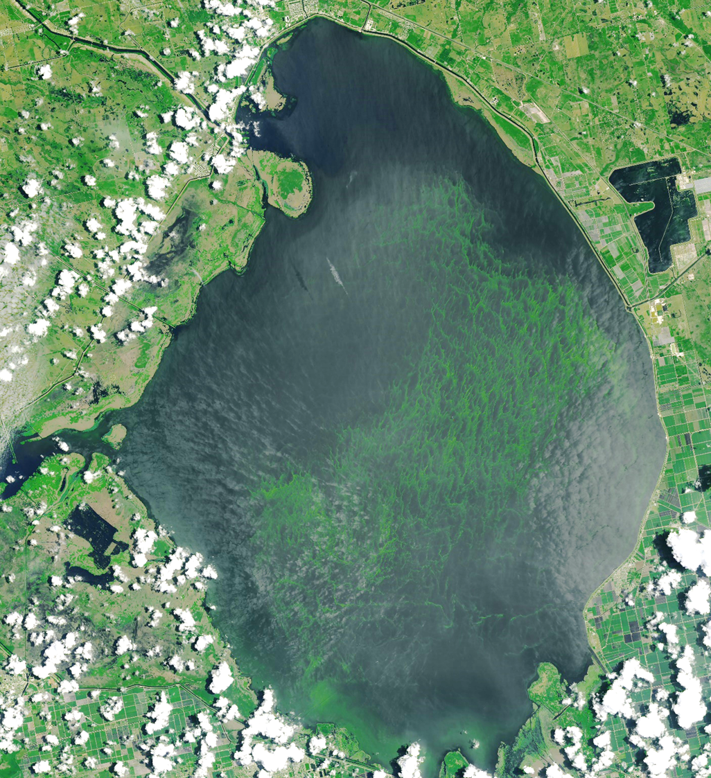 satellite view of lake okeechobee with film of blue green algae