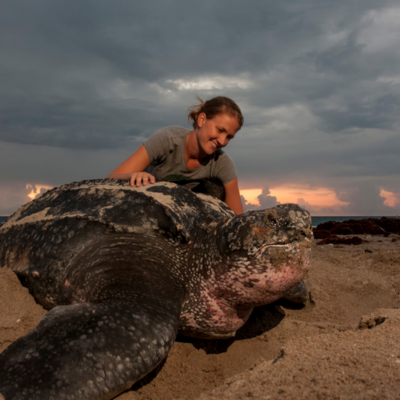 woman looking over large turtle on the beach