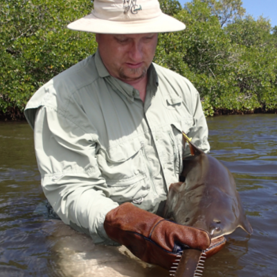 man standing in water looking down at sawtooth fish in hands