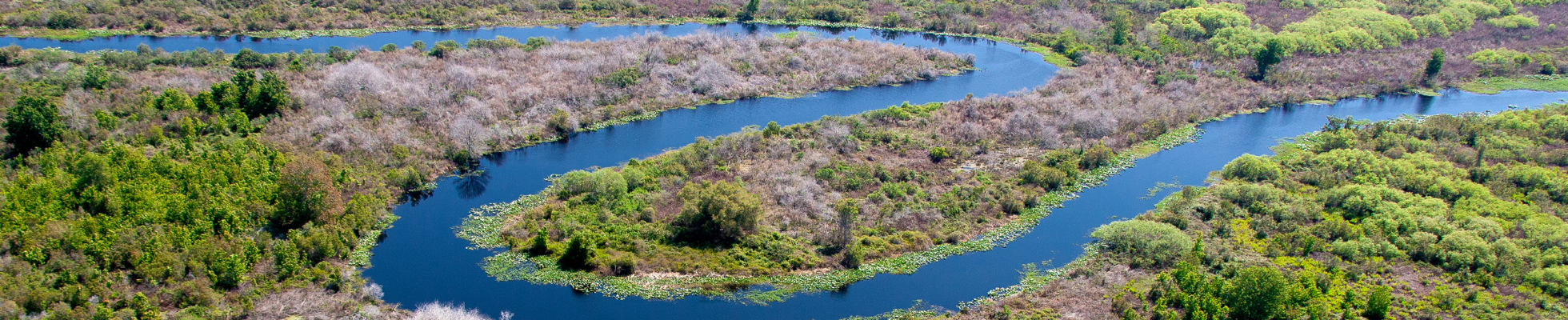 meandering kissimmee river