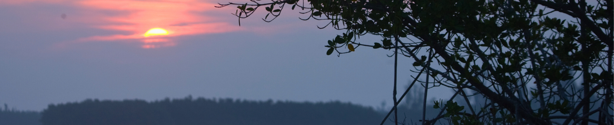 Indian River lagoon pg. cover (1960x440)