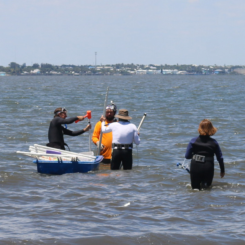 Florida Oceanographic Society | Seagrass Survey