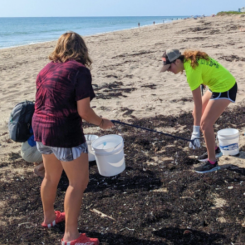 Beach Cleanup Event Image