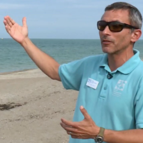 A 13-foot great white shark has been hanging out off the Treasure Coast