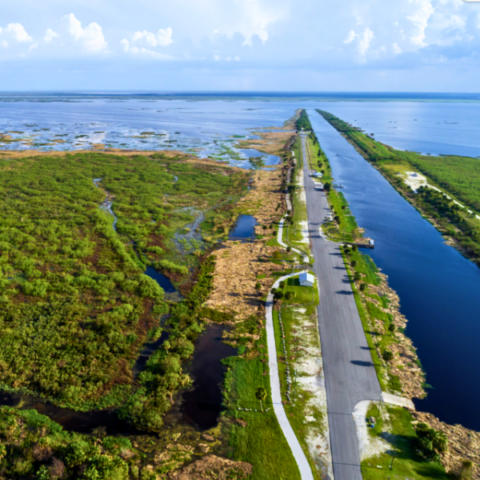 Billions of Gallons of Freshwater Are Dumped at Florida’s Coasts. Environmentalists Want That Water in the Everglades